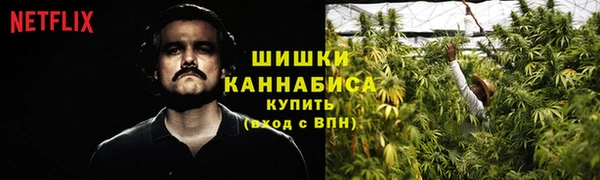бутират Гатчина