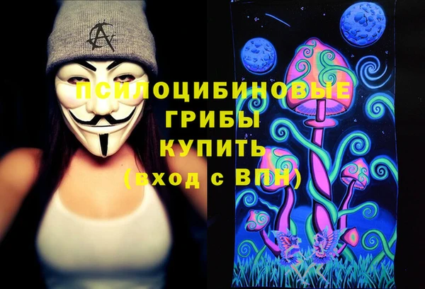 ПСИЛОЦИБИНОВЫЕ ГРИБЫ Абдулино