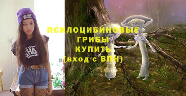 ПСИЛОЦИБИНОВЫЕ ГРИБЫ Абдулино