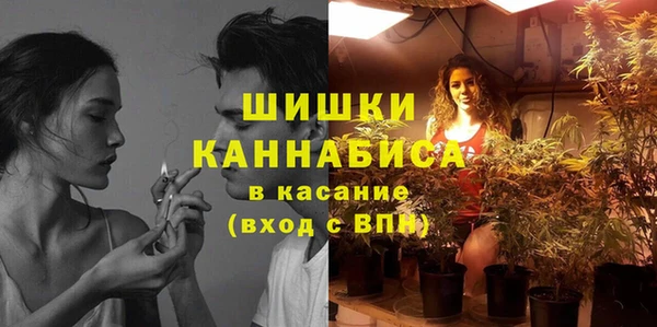 ПСИЛОЦИБИНОВЫЕ ГРИБЫ Абдулино