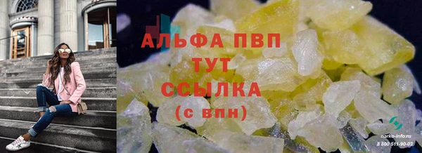 прущие грибы Покровск